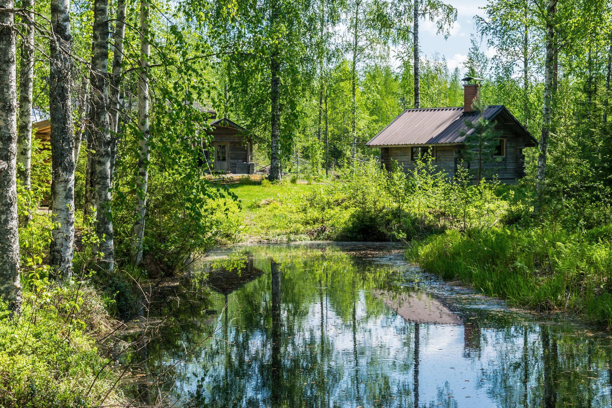 KOITEREEN PIILOPIRTTI